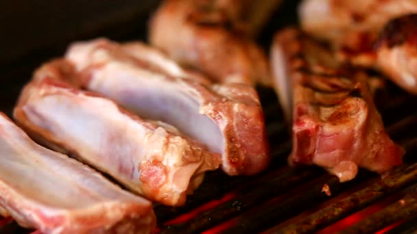 Grilling Fresh Meat Barbecue Close View — Stock Video