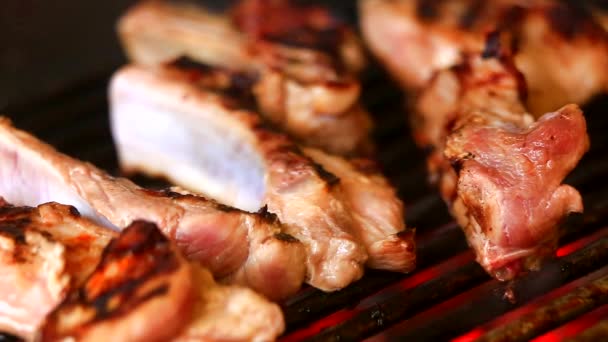 Grilling Fresh Meat Barbecue Close View — Stock Video