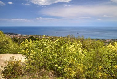 Mavi gökyüzü, deniz ve taze yeşil ormanla güzel bir manzara.