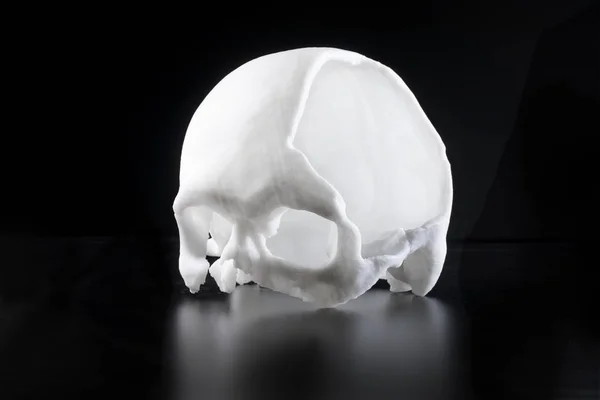 Artificial skull for medical purposes — Stock Photo, Image