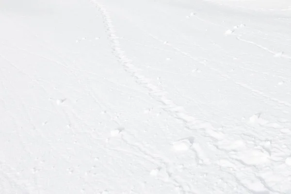 Un perfetto sfondo bianco neve fresca — Foto Stock