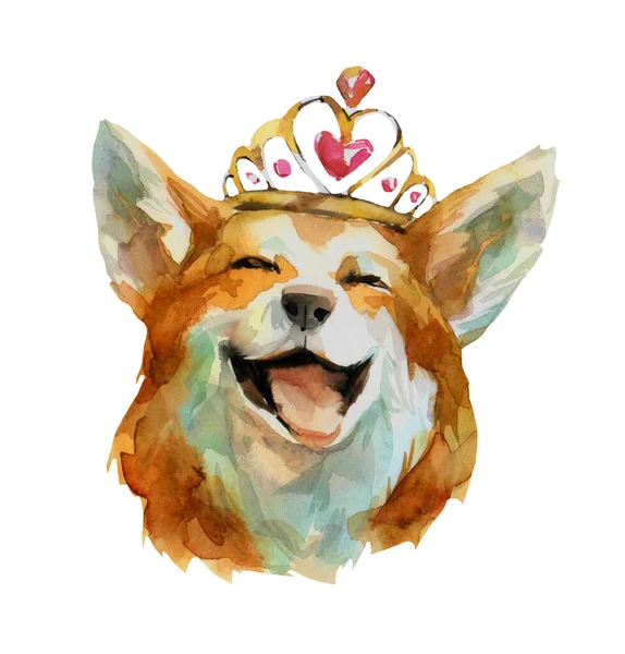 水彩画可爱的图片滑稽的科吉狗头上戴着皇冠独立的物体白色背景的广告 — 图库照片#