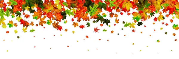 Hojas de otoño en el suelo. Noviembre cayendo fondo patrón. Th — Foto de Stock