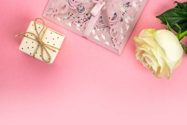 Çiçekler pembe arka planda izole edilmiş. Yeşil izinli beyaz gül