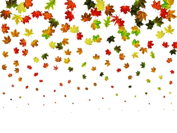 Herfst bladpatroon. Seizoen vallende bladeren achtergrond. Thanksgiving concept — Stockfoto