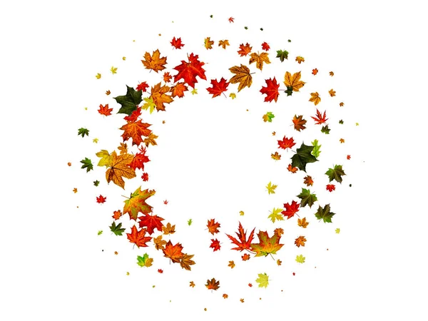 Patrón de hoja de otoño. Temporada caída hojas de fondo. Concepto de Acción de Gracias —  Fotos de Stock