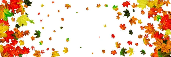 Herbsthintergrund. Herbst Oktober Blätter isoliert auf weiß. Saisonkonzept — Stockfoto