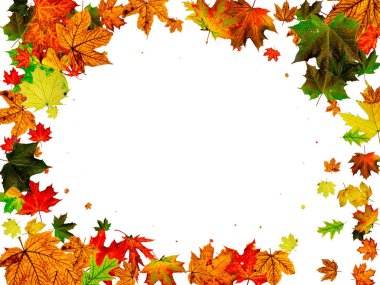 Kalıplar bırakır. Ekim soyut düşüş arkaplanı. Sonbahar konsepti