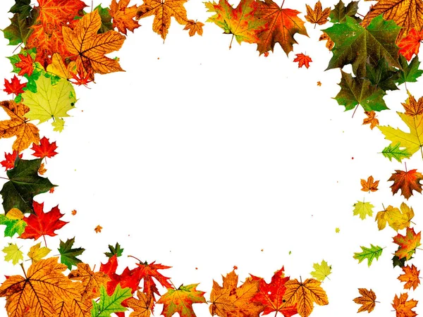 Kalıplar bırakır. Ekim soyut düşüş arkaplanı. Sonbahar konsepti