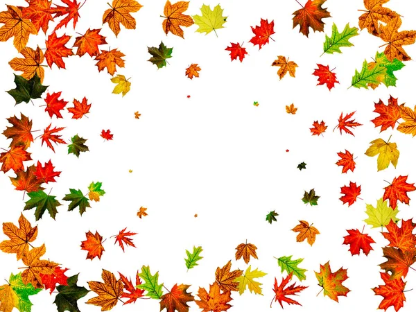 Herbst Blatt Hintergrund. November fallen Muster. Saisonkonzept zum Erntedank — Stockfoto