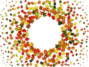 Sonbahar yaprakları deseni. Düşen Ekim arkaplanı. Şükran Günü konsepti