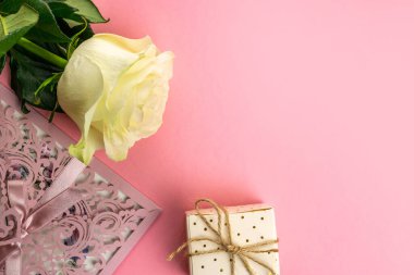 Beyaz Gül pembe arka planda izole edilmiş. Kutlama çiçeği İngilizcesi r