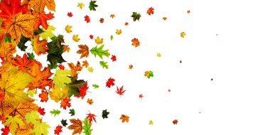 Sonbahar rüzgarı. Kasım düşüş düzeni arka planı. Sezon konsepti