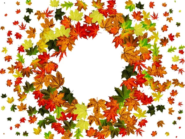 Autumn background. Falling October leaves isolated on white. Season concept — Stock Photo, Image