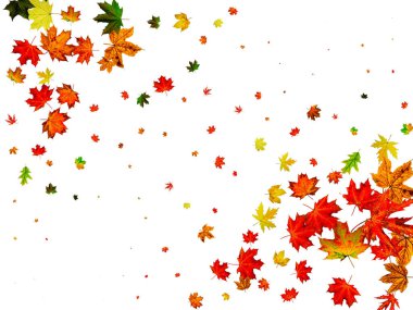 Sonbahar manzarası. Mevsimlik desen beyaz arka planda izole edilmiş. Şükran Günü konsepti