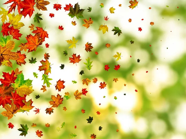 Herbstlaub. Herbst Saison Muster isoliert auf buntem Hintergrund. Dankbarkeitskonzept — Stockfoto