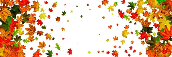 Fondo de otoño. Caída hojas de octubre aisladas en blanco. Concepto de temporada — Foto de Stock