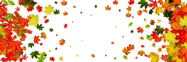 Herbst hinterlässt weißen Hintergrund. Novembermuster. Saisonkonzept zum Erntedank — Stockfoto