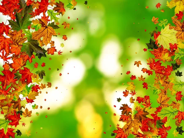 Autumn landscape. Season pattern isolated on colorful background. Thanksgiving concept