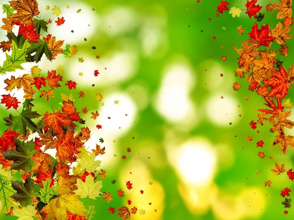 Geht nahtlos. Herbstblätter isoliert. November fallen Muster Hintergrund. Saisonkonzept — Stockfoto