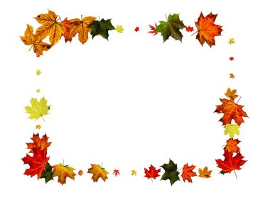 Sonbahar yaprağı deseni. Mevsim düşüşü arka planda kalır. Şükran Günü konsepti