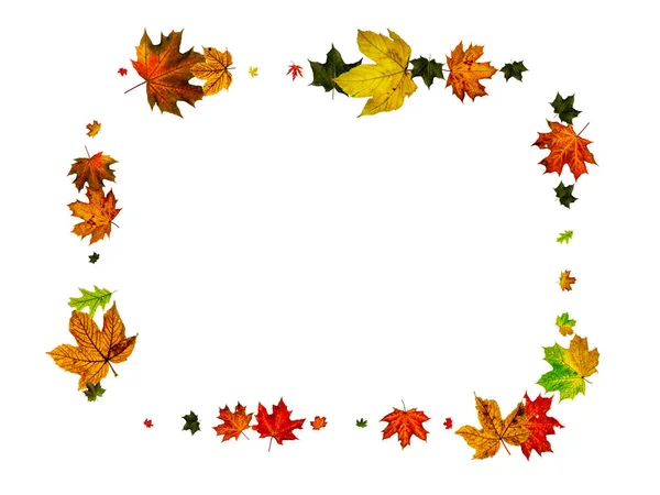 Herfst achtergrond. Vallende oktober bladeren geïsoleerd op wit. Seizoensconcept — Stockfoto
