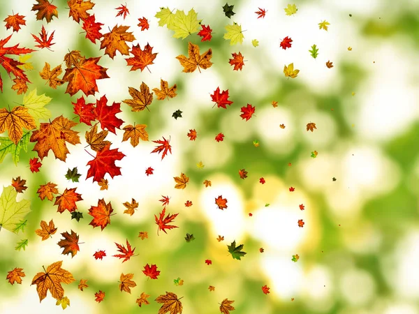 Hinterlässt Spuren. Herbst Saison Muster isoliert auf buntem Hintergrund. Dankbarkeitskonzept — Stockfoto