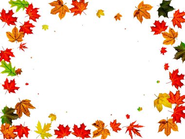 Sonbahar yaprakları yerde. Kasım düşüş düzeni arka planı. Şükran Günü konsepti