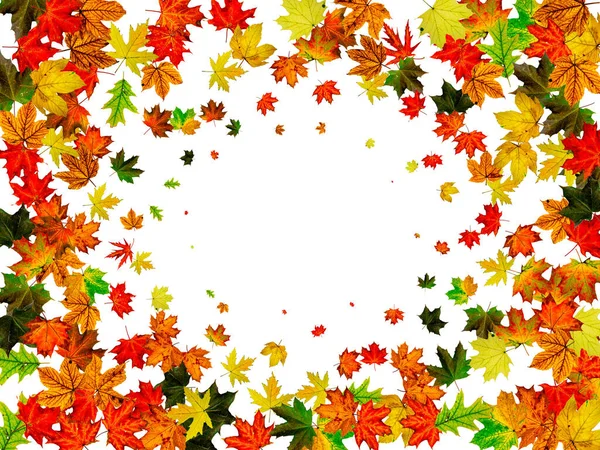 El otoño deja un fondo blanco. Caída patrón de noviembre. Concepto de temporada de Acción de Gracias — Foto de Stock