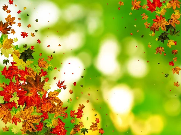 Herbstlaubmuster. Herbst Oktober Hintergrund. Saisonkonzept zum Erntedank — Stockfoto