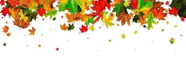 Hoja de otoño aislada. Falling fondo de octubre. Acción de Gracias s — Foto de Stock