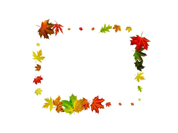 Laat achtergrond achter. Herfst seizoen patroon geïsoleerd op witte achtergrond. Thanksgiving concept — Stockfoto
