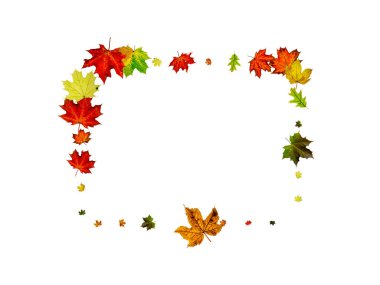 Arka planda kal. Sonbahar yaprakları beyazlar üzerinde izole. Sezon konsepti