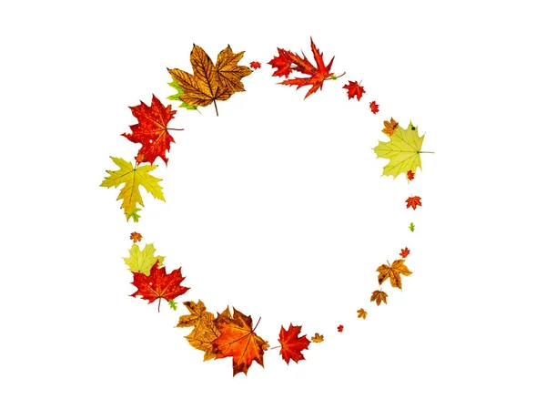 Patrón de hojas de otoño. Falling fondo de octubre. Concepto de temporada de Acción de Gracias —  Fotos de Stock