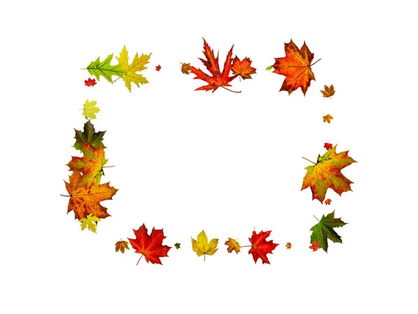 Осенью листья белого фона. Падающий ноябрьский шаблон. Концепция сезона благодарения — стоковое фото