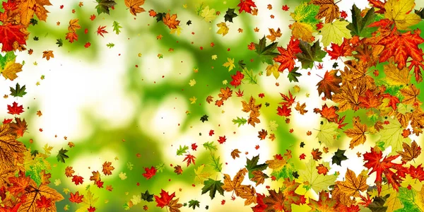 Autumn leaves background. October falling pattern isolated on colorful. Thanksgiving concept