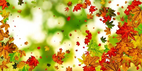 Herbst Blätter bunten Hintergrund. Novembermuster. Saisonkonzept zum Erntedank — Stockfoto