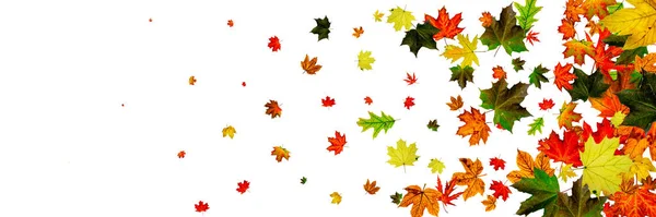 El otoño deja viento. Noviembre cayendo fondo patrón. Concepto de temporada — Foto de Stock