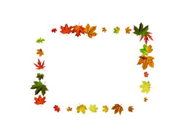 Sonbahar arkaplanı. Düşen Ekim yaprakları beyazın üzerinde izole halde. Sezon konsepti