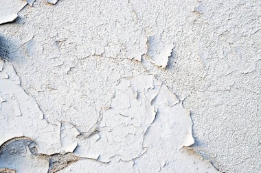 Boya kabuğu. Boya desenli arka plan. Üzüntülü Wa Boyalı