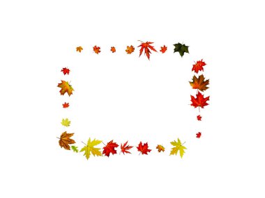 Sonbahar yaprakları. Sonbahar mevsimi deseni beyaz arka planda izole edilmiş. Şükran Günü konsepti