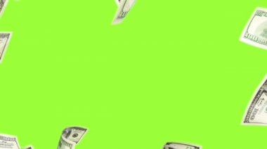 Dolar işareti. Amerikan parası. Nakit para, fatura. Para Yeşil Ekran 'a düşüyor. Yağmur Canlandırması