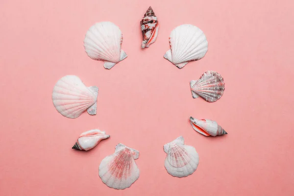 Summer sale. White seashells, red starfish in shape frame isolated on trendy Living Coral pastel color background. Hello Summer is coming concept — Stock Photo, Image