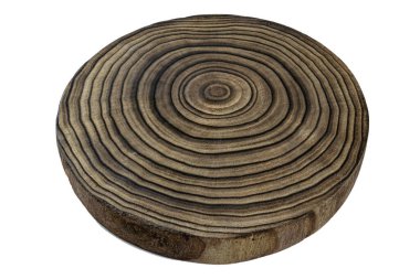 Tree trunk texture. Cross section of tree trunk, stump, isolated on white background