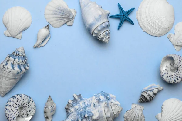 Shells, starfish isolated on trendy aquamarine light blue pastel color background with blank space for text. Top view travel or vacation concept. Summer background. Flat lay — Stock Photo, Image