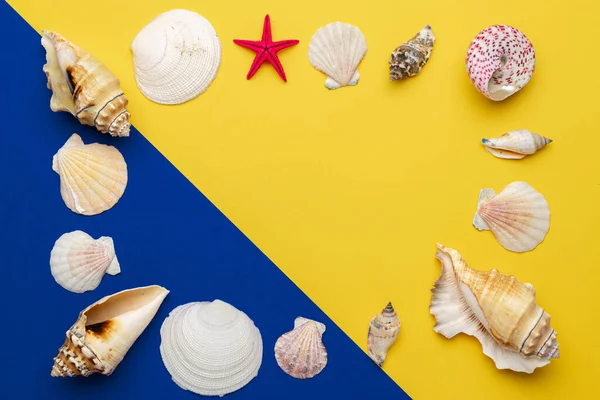 Hello Summer pattern background. Frame of White seashells, red starfish isolated on blue, yellow backdrop. Top view travel or vacation concept. Flat lay