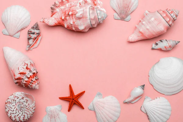Hello Summer pattern background. Frame of White seashells, red starfish isolated on trendy Living Coral pastel color backdrop. Top view travel or vacation concept. Flat lay