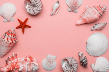 Deniz kabukları, deniz yıldızı şeklinde. Moda Yaşayan Mercan pastel rengi Merhaba yaz arka plan konsepti. Kopyalama alanı olan üst görünüm