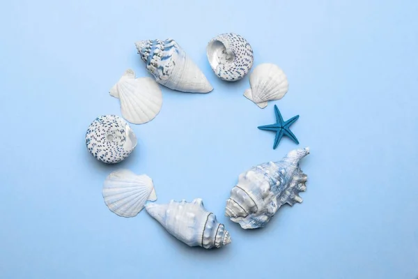 Shells, starfish isolated on trendy aquamarine light blue pastel color background with blank space for text. Top view travel or vacation concept. Summer background. Flat lay — Stock Photo, Image