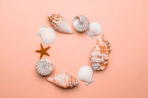 Summer holidays background. Frame of White seashells, Lush Lava starfish isolated on trendy orange pastel color backdrop. Summer is coming concept — Stock Photo, Image